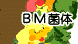 BM菌体5-4